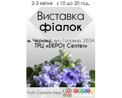 Выставка фиалок в Черновцах с 2 по 3 апреля 2016
